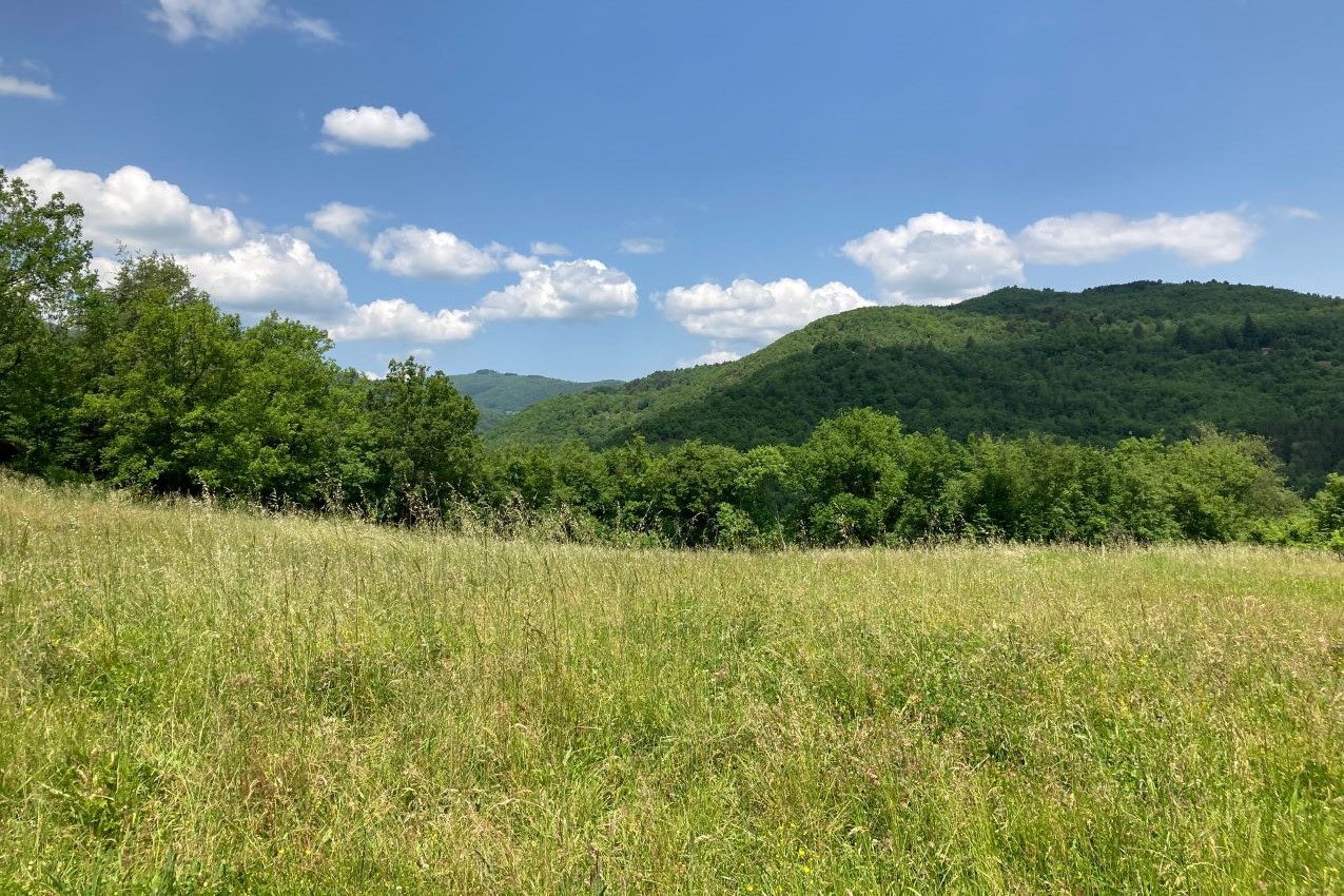 Vita in campagna, il fieno