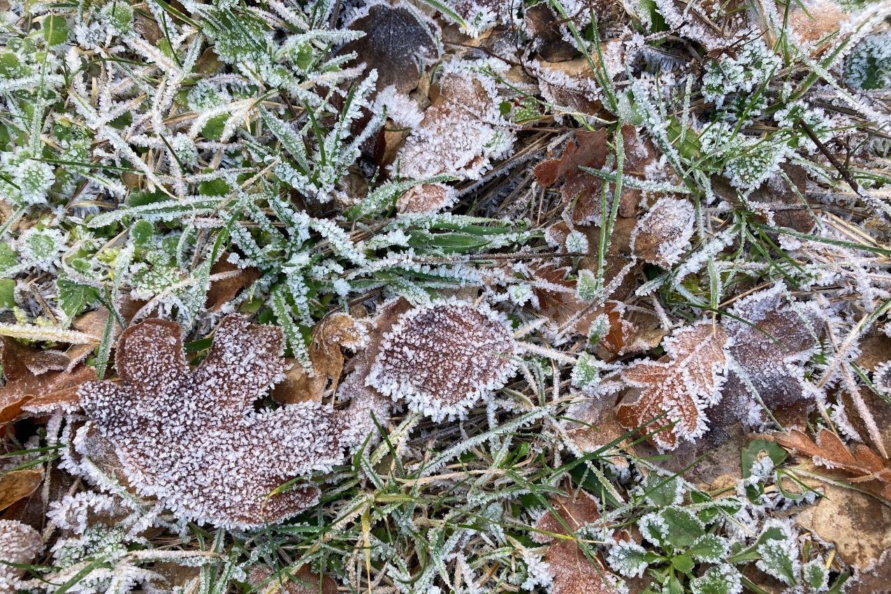 Prato al mattino - febbraio