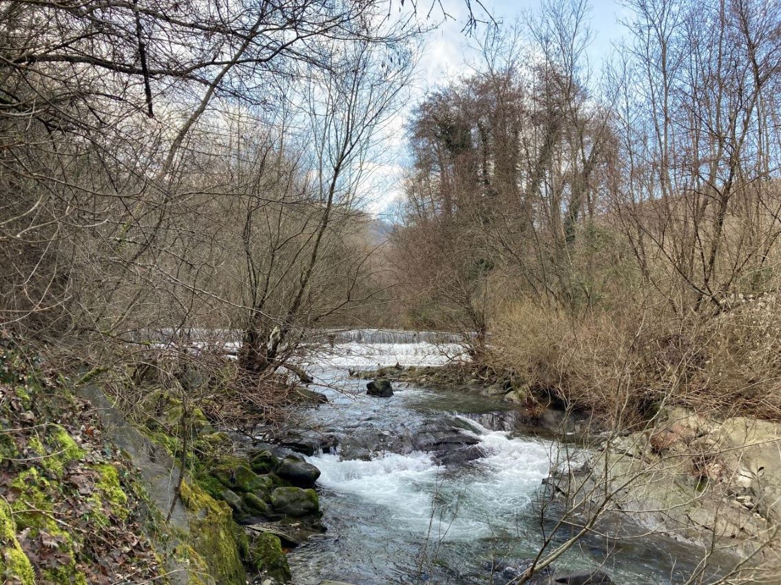 natura natura